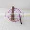 Good quality Common Rail nozzle DSLA128P1510,0433175449 for 0445120059