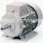 SIEMENS 1LE0003 18.5kw 2p electric Motor