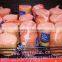 Vacuum Shrink bag food vacuum plastic bag