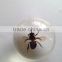 New design rutilated quartz crystal ball / sphere with real ember embedded for promotional gift