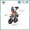 OEM EN15194 approved CE SGS TUV Electric bike folding bike