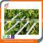 Fiberglass Reinforcement Rods