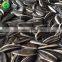 Whats App Sale Sunflower Seeds from China, Sunflower Animal Seed