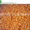 IQF sea buckthorn with good quality
