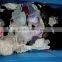 used clothes wholesale/ used clothing China