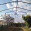 Cheap single span plastic greenhouse for agriculture