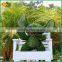 garden decoration evergreen artificial cartoon topiary animals grass animal                        
                                                Quality Choice