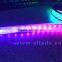 China Supply Quality ws2812b Pixel Digital addressable rgb led strip 5V 144                        
                                                Quality Choice