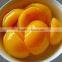 new crop canned yellow peach in halves