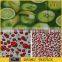 textile tropical design material fruit print fabric