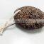Lava Rock pumice stone