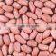 Dry Roasted Peanut Peeler Machine India Peanut Red Skin Peeling Machine For Roasted Peanut