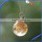 20mm clear transparent dried flower resin ball pendant with wish necklace