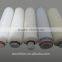 Pharmaceutical Grade PTFE Pleated Filter Cartridge for Tank Ventilation