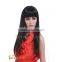 Ladies 26 inches lace synthetic natural hair wigs manufacture in China