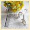 Special metal pet comb hot dog products
