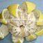 Fresh honey pomelo fruit