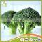 delicious health chinese frozen fresh frozen broccoli have a good sale in bulk