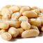 38/42 BLANCHED PEANUT KERNEL FOR SELL
