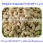ISO/HACCP certificated Chinese blanched peanut 41/51