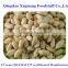 ISO/HACCP certificated Chinese blanched peanut 41/51