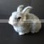 Easter Bunny Taxidermy Gray Grey Jackalope Lying Rabbit Horns