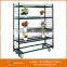 American europ Welding Nursery Flower Trolley Cart garden display stands