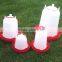 Promotion price pigeon water drinkers in Kenya farm