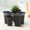 Best selling popular black succulents flower plant pots