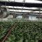 Greenhouse Agricultural Ventilation Fan Axial Fan