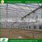 Multifunctional custom spain low cost agricultural plastic greenhouse