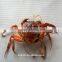 Crabs Continouous Microwave Cooker