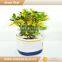 canvas herb planter pots cheap plant pot 2017 new arrrivals