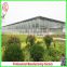 China price multi-span glass greenhouse with drip irrigation for sale