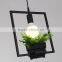 Sky garden LED hanging lantern light with planter pot