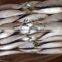 high-class new fish sardine fish frozen sardine for canning on sale