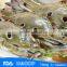 Frozen Three Spotted Crab, Three Spotted Crab ,Frozen Crab (Whole Round )HL 002