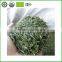 Long Leaf Factory Chinese Organic Green Tea Wholesale