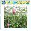 100% PE Rose Bud Net