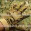 Custom Sandy Antislip Warm Military Tactical Gloves