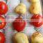 commercial sweet potato baby carrot tomato onion vegetable orange peach apricot blueberry small fruit brush washing machine