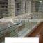 shop glass shelf