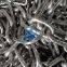Japanese Standard Chain JISF stainless steel chains