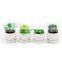 Modern plastic Green Grass Prickly pear Cactus mini faux potted artificial succulent plants artificial with ceramic pot