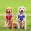 2021 New Arrival Summer Personalized Cute Customized Collar Cooling Bandana Dogs