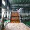 automatic industrial Fruit washing system