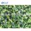 Frozen Broccoli IQF Broccoli Frozen Green Broccoli 3-5 CM