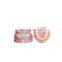 HC-S420 Denta lteeth model with teeth root human standard removable teeth model for study