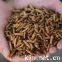 black soldier fly larvae for chickens（BSFL）