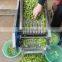 Automatic Stainless Steel Green Soy Bean Peeling Machine